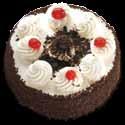 BLACK FOREST BABY TART 5100211
