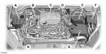 תחזוקה מבט אל תא המנוע - מנוע ECOBOOST 1.0 ל' A מיכל נוזל קירור מנוע. עיין בנושא בדיקת נוזל קירור (עמוד 310). B מדיד שמן מנוע. עיין בנושא מדיד שמן מנוע (עמוד 307). C מכסה פתח מילוי השמן.