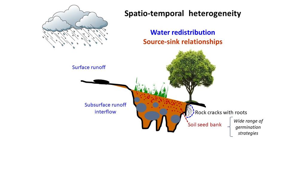 In the search of ecological thresholds under climate change: Are Mediterranean herbaceous communities resistant