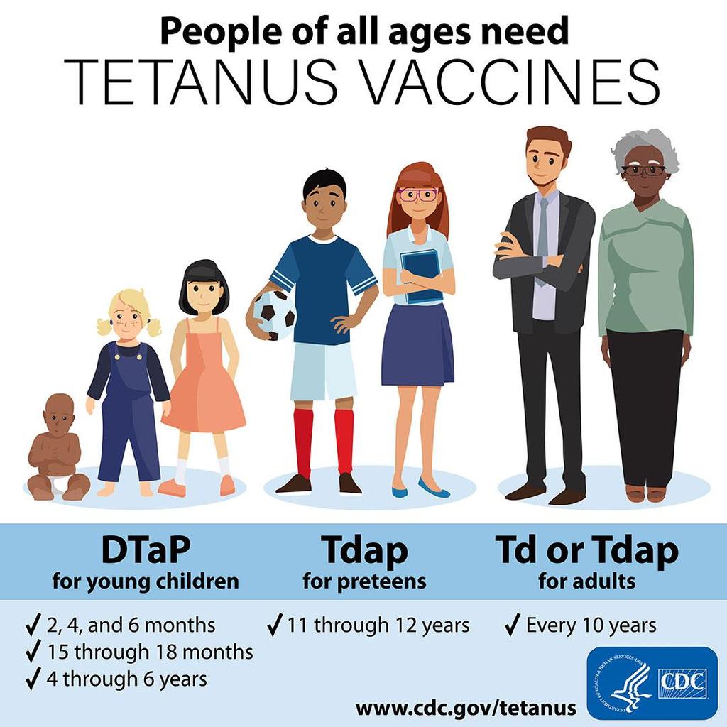 טטנוס-דיפטריה-שעלת חיסון מסוג טוקסואיד,טטנוס פותח לראשונה ב 1924 דיפטריה- טוקסואיד 1921, היה זמין מ 1930.