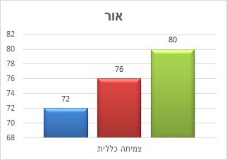 אור המטרה: "אני מבחינתי רוצה להיכנס שוב להריון כדי לחוות חוויה מתקנת" ; "להפסיק... להפחית אולי אם לא להעלים, את כל החרדות האלה..."; "להנמיך ציפיות מדברים מסוימים.