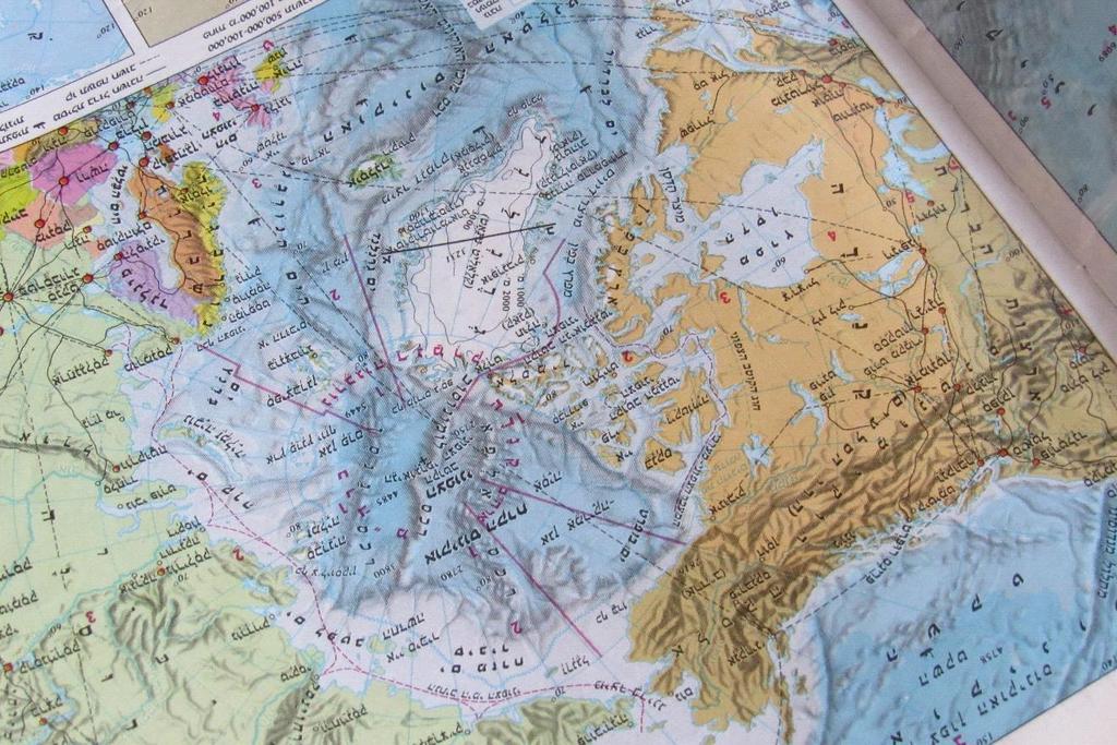 בתמונה זו גרנלנד קרן השור, אך אינו נוגח, וליד גרנלנד אוזן השור מצד שמאל של גרנלנד, ואפו בקרקעית אוקיינוס הקרח הצפוני מצד שמאל!