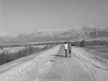 The An Artist Orchard in a Studio Russia 2008 / 96 Minutes in the Negev Russian, Hebrew subtitles Israel, 2010-2011 / 50 Minutes Hebrew Director & Script writer: Sergey Ovcharov Cinematographer: Ivan