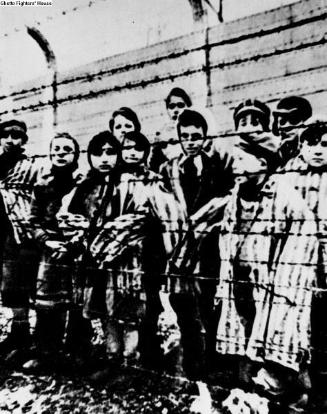 ילדים אסירים באושוויץ