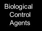 8% 4% Biological Control Agents Pheromones Plant