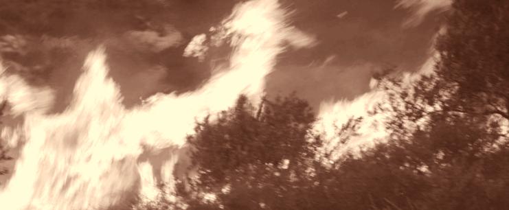 פ"א 7474/05 (תיק יש דין 1101/05) הצתת מטע עצי זית בכפר סאלם, 16 באוקטובר 2005. צילום: ג'עפר א-שתייה ביום ראשון, 16 באוקטובר 2005, הבחינו תושבים מסאלם בדליקה שמשתוללת בכרמי זיתים השייכים לתושבי הכפר.
