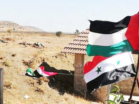 ב" ת מ ו נ ת ה נ י צ ח ו ן ", שפורסמה מאלקניטרה, נראים חיילי צבא סוריה ואזרחים מניפים דגלי סוריה ) סאנא, 27 ביולי ( 2018.