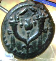 על צדה האחר של המטבע מופיעים קרני שפע בתוכם רימון מסוגנן הניצב על מוט, סמל הכהן הגדול.