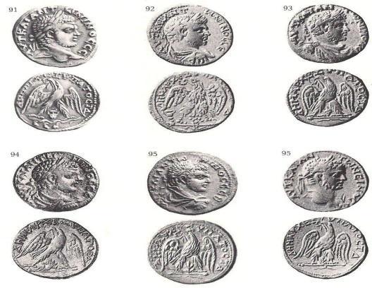 הכתובות על מטבעות העיר הם בלטינית, מאחר והעיר הייתה קולוניה ואזרחיה היו אזרחי רומא. חלק מאזרחי הקולוניה היו גמלאי הלגיונות הרומי. על חלק ממטבעות העיר מופיעה הזאבה המניקה את רומול סו ורמוס.