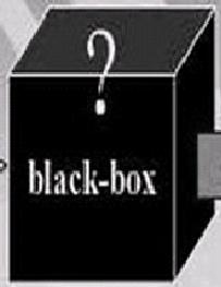 "הקופסא השחורה" INPUT OUTPUT "תוצרים