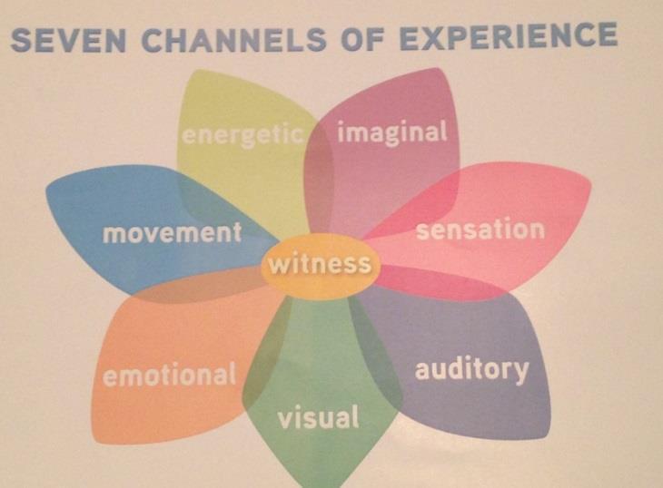 Seven Channels of Experience שבעת ערוצי החוויה