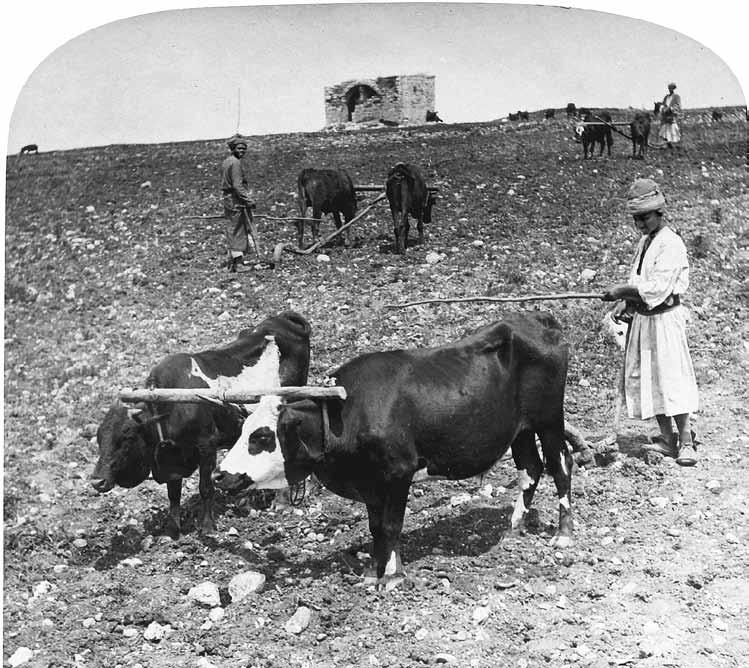 ספרות העלייה הראשונה כספרות מתיישבים ראשונים: הצעה לתיקון היסטוריוגרפי 113 ההבחנה בין הרומנטיקנים הארץ ישראלים סופרי העלייה הראשונה ובין הרומנטיקנים והנאו רומנטיקנים העברים במזרח אירופה הייתה בניסיון