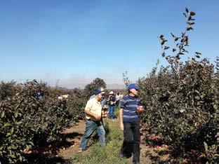 יהודה סניף אשקלון יו"ר הסניף: עמרם מלול # הנשיא 2 מרכז אפרידר אשקלון 7840401 # טל': # 08-6744677 דוא"ל: tzevetashkelon@walla.