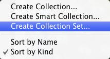 במידה וברצונך ליצור סדרת אוספים בתוך סדרה, סמן בקטגוריה Location את האפשרות Inside a Collection Set ובחר מהתפריט בשם הסדרה בה היא תמוקם )4(.