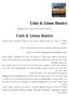 Unix & Linux Basics,CSMA/CD vs CSMA/CA As a Collision Domain
